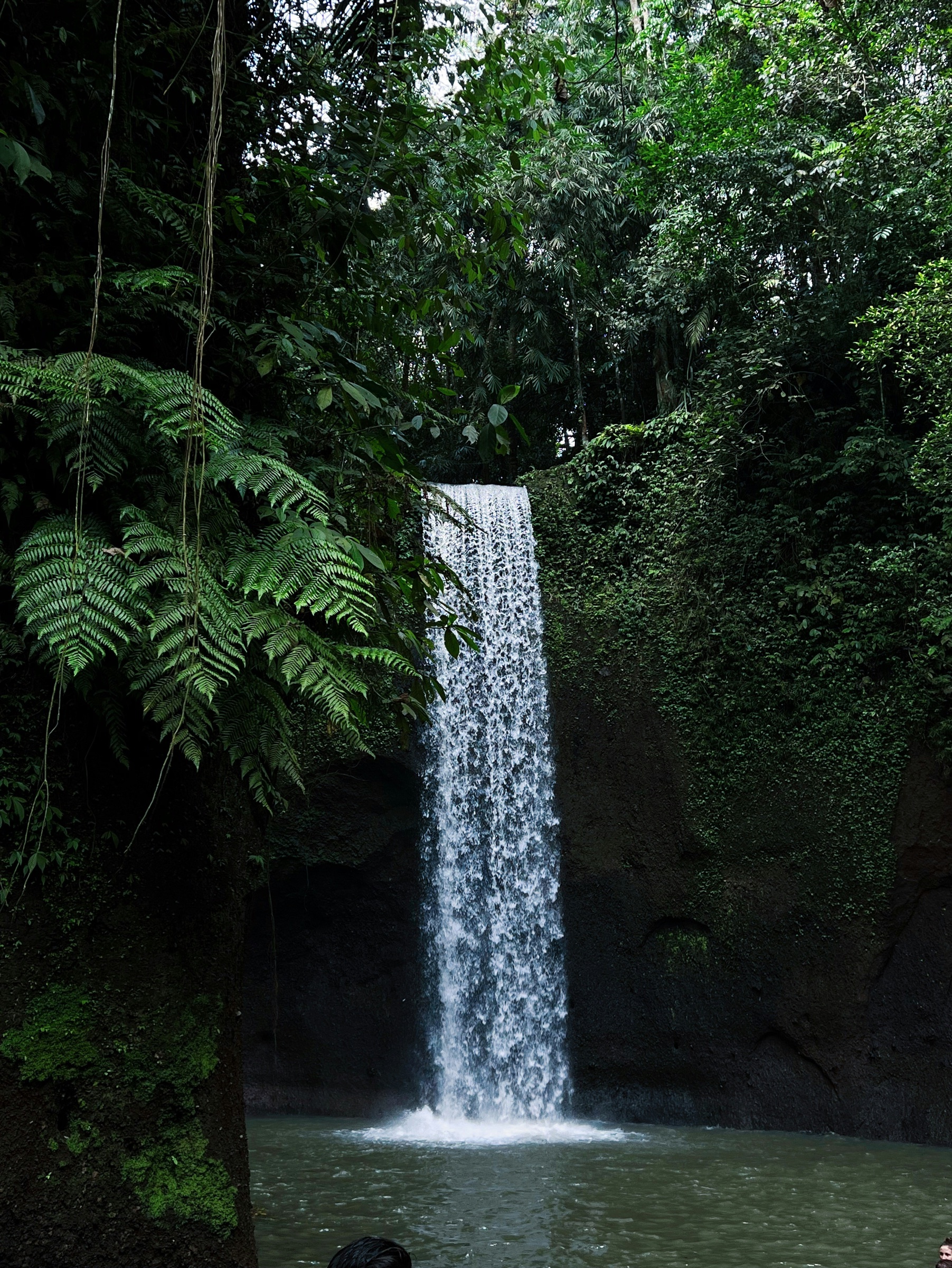 Bali jungle waterfall — immersion in the natural environment